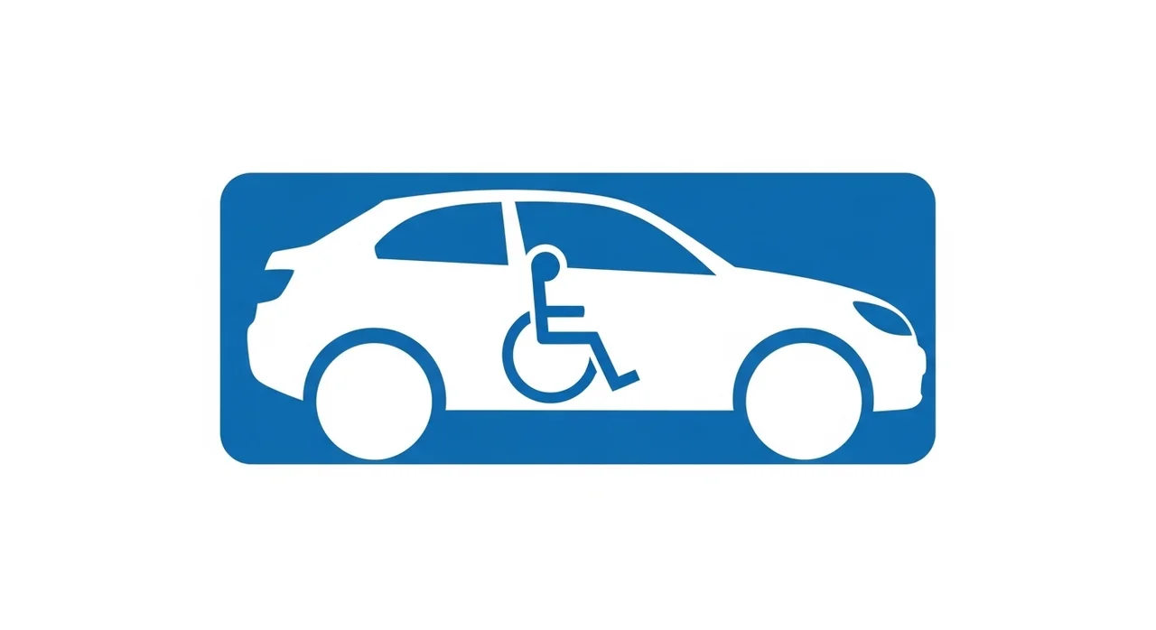 예외 차량 및 면제 대상 총정리