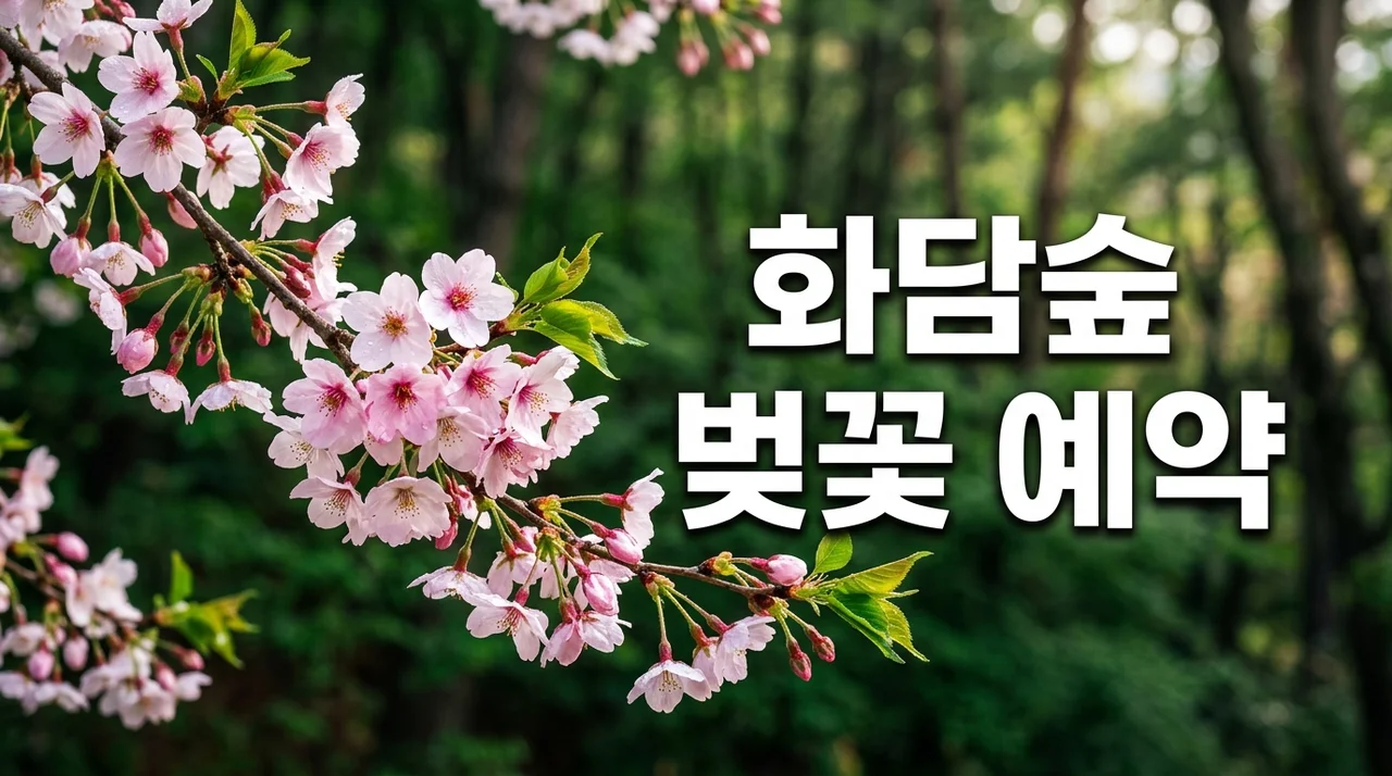 화담숲 예약 방법, 곤지암 모노레일 오픈 & 봄 벚꽃 구경 완벽 가이드