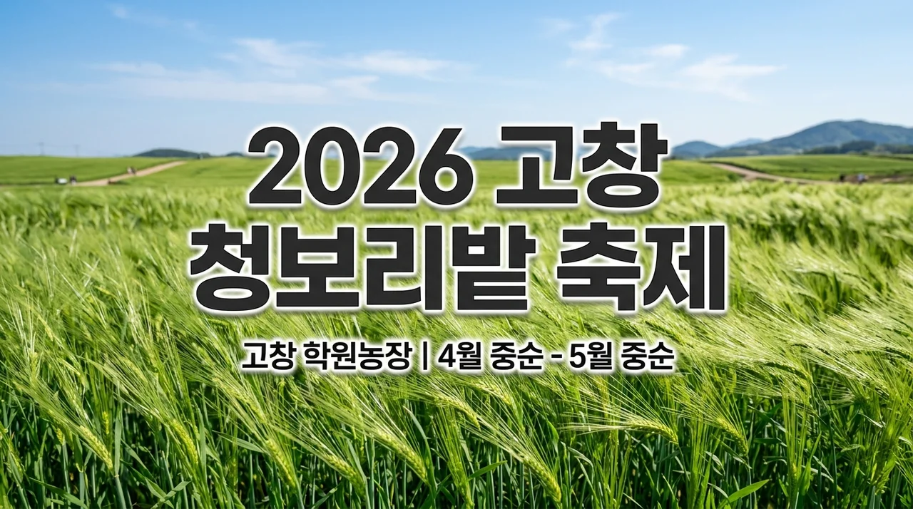 2026 고창 청보리밭 축제 완벽 가이드: 개화시기, 교통, 즐길 거리 총정리