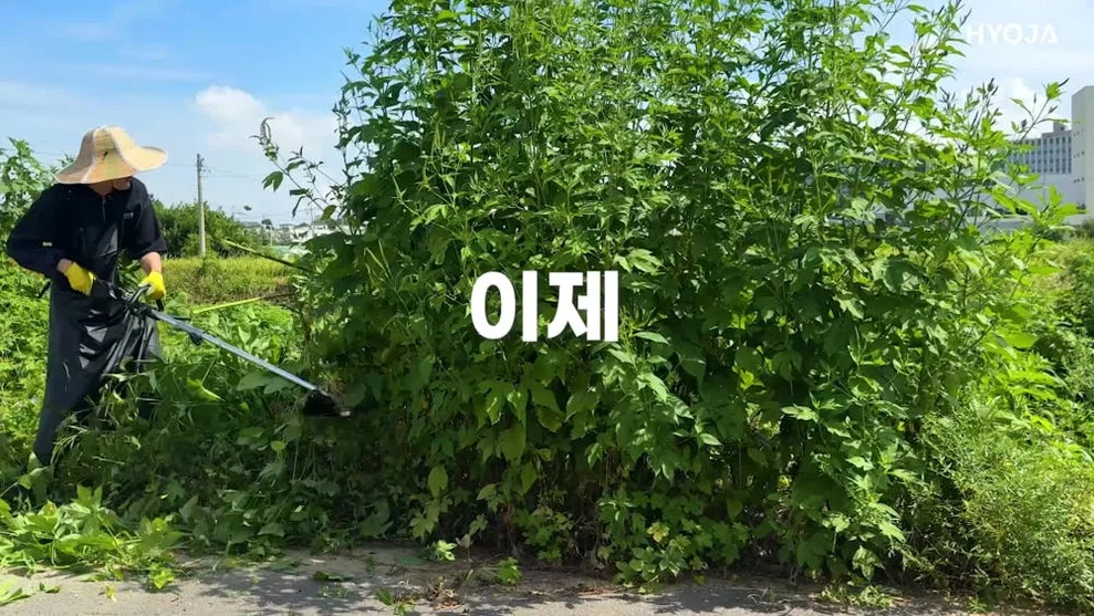 효자 예초기 42V 무선 전기 충전식 충전 전동 상세 이미지 1