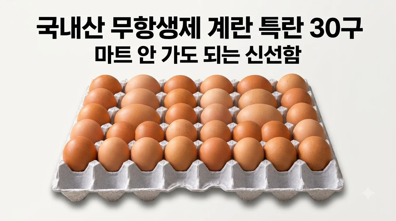국내산 무항생제 계란 특란 30구, 마트 갈 필요 없는 신선함과 역대급 가성비 후기