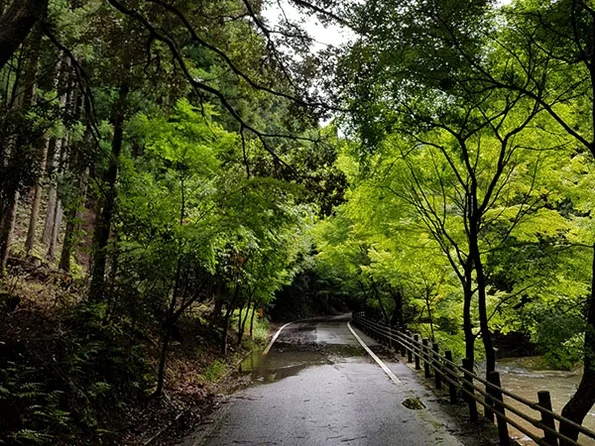 대마도2일/부산출발/노바호/[소아루리조트]/가볍게 떠나는 힐링의섬 대마도 1박2일/히타카츠/이즈하라/온천/ BBQ DAY 2 여행 사진
