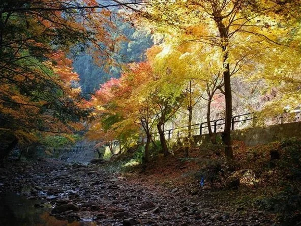대마도2일/부산출발/노바호/[소아루리조트]/가볍게 떠나는 힐링의섬 대마도 1박2일/히타카츠/이즈하라/온천/ BBQ 여행 사진