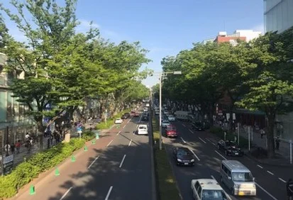 동경4일출발확정시내호텔3연박도쿄관광OR디즈니/하라주쿠,신주쿠,하코네,시부야 DAY 1 여행 사진