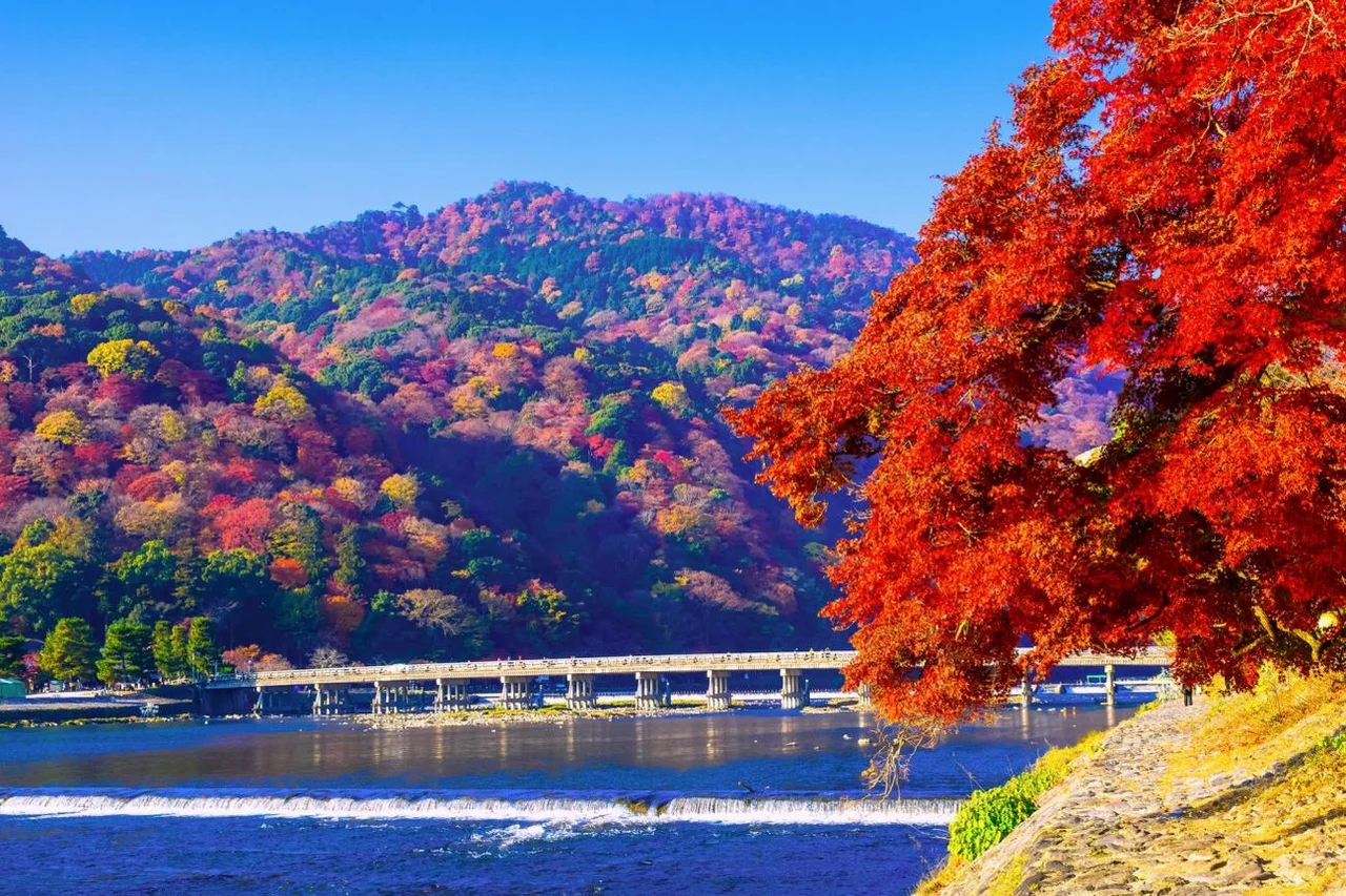 [여행핫딜] /출발확정/ 오사카3일 [온천호텔/풀패키지] 교토/노면전차탑승/기모노숲/고베야경/하버랜드/오사카성/도톤보리 DAY 2 여행 사진