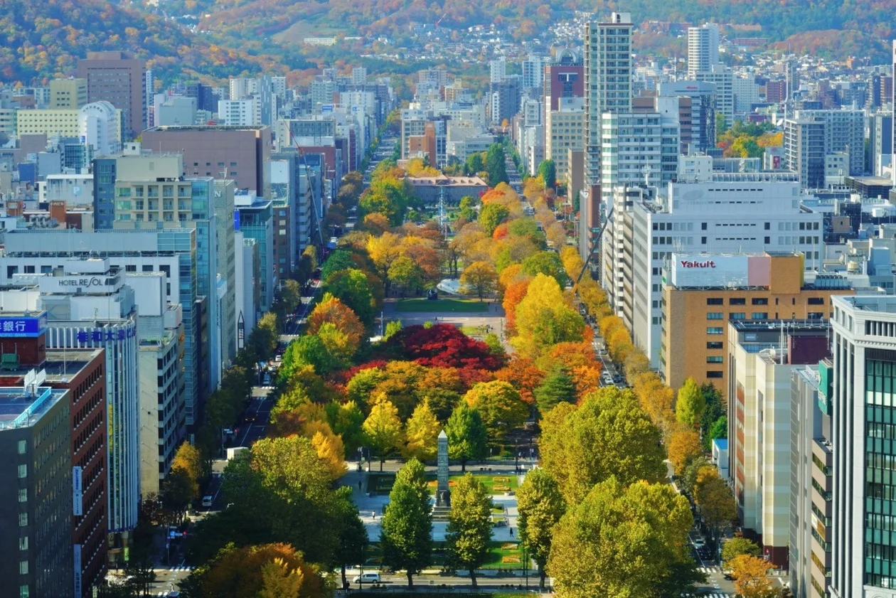 [여행핫딜][조금 비쌉니다] 프리미엄 북해도 4일 [아시아나항공/모르온천/팁포함/털게,킹크랩,대게 무제한] DAY 3 여행 사진